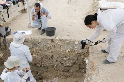 Trabajos de exhumación en el cementerio de San José, en Cádiz.