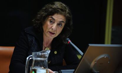 Uriarte da explicaciones a la comisión de Educación en el Parlamento