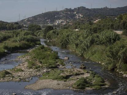 El riu Besòs, entre Montcada i Santa Coloma de Gramenet.