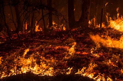 Incendio forestal próximo a la localidad cántabra de Aes.