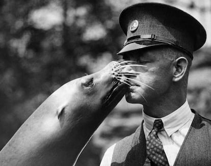 Un le&oacute;n marino besa a un cuidador del zoo de Regent&#039;s Park de Londres el 22 de septiembre de 1934. 