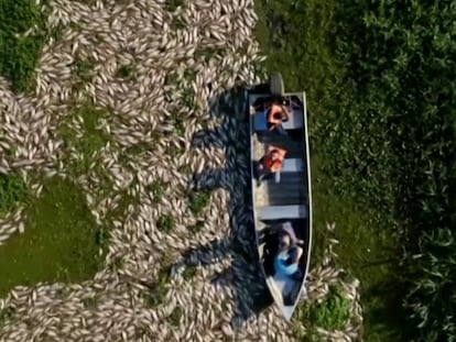 Un barco en el río Piracicaba, en São Paulo, el 16 de julio de 2024.