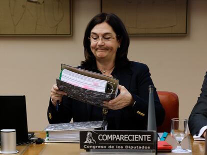 Cani Fernández, presidenta de la Comisión Nacional de los Mercados y la Competencia (CNMC), el 23 de marzo en el Congreso.