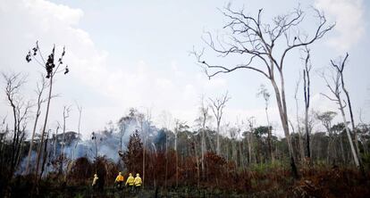 Brigadistas controlan un incendio en la Amazonia brasileña.