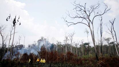 Brigadistas controlan un incendio en la Amazonia brasileña. 
