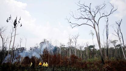 Brigadistas controlan un incendio en la Amazonia brasileña.