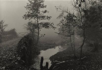 'Bosques cercanos a Mi Casa', Somerset, c. 1991.