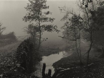 'Bosques cercanos a Mi Casa', Somerset, c. 1991.