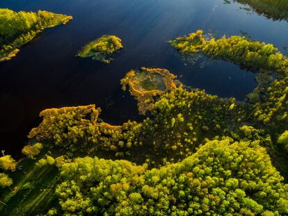 Vista aérea del lago Stupens con las tierras agrícolas y bosques que lo rodean. Gauja es el río más largo de Letonia y uno de los puntos más importantes de turismo sostenible de la región.