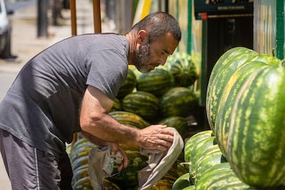 Un vendedor de sandías limpia las frutas en su negocio en Paine.