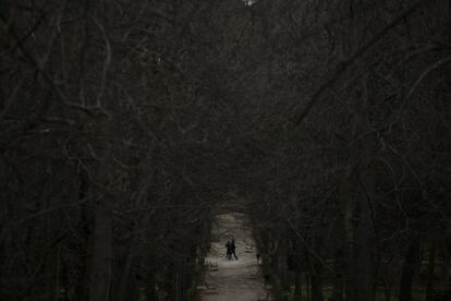 Una pareja pasea por el parque del Retiro de Madrid.