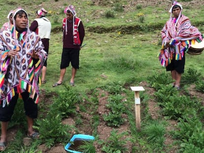 Agricultores no Parque da Papa Pisaq, em Cusco, no Peru.