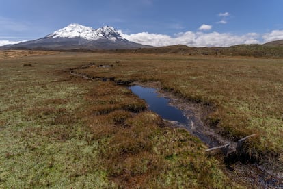 Humedales en la provincia de Pichincha, Ecuador. 