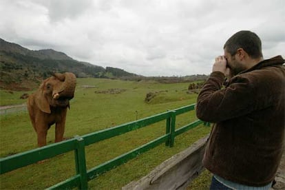 Un elefante en el parque de la naturaleza de Cabrceno, en Cantabria, emplazado en una mina de hierro que se remonta a la poca romana.
Parapente y ala delta (al fondo) sobrevolando los alrededores de Loja (Granada).