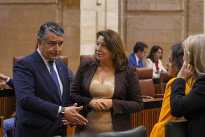 Los consejeros de la Presidencia, Interior, Diálogo Social y Simplificación Administrativa, Antonio Sanz, y de Agricultura, Pesca, Agua y Desarrollo Rural, Carmen Crespo, en el Pleno del Parlamento andaluz.

El Pleno del Parlamento andaluz ha convalidado este miércoles, con los votos a favor del PP-A y Vox, el cuarto decreto de simplificación administrativa aprobado el pasado 6 de febrero por el Gobierno de Juanma Moreno, que modifica 176 normas, 53 leyes, 95 decretos y 28 órdenes.