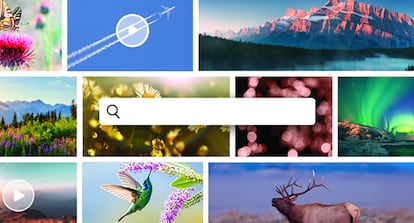 Buscador de Adobe para contenidos y uso de IA