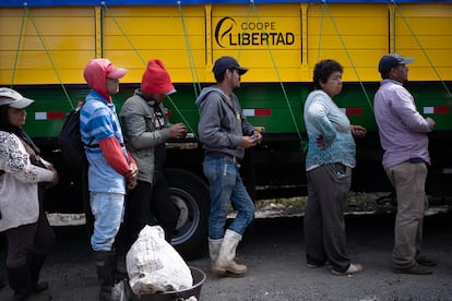 Cortadores de café hacen fila para cobrar por su trabajo, en San Roque de Barva.