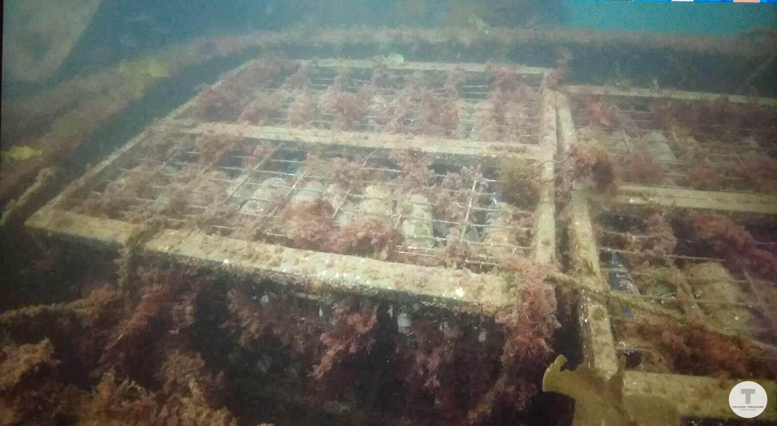 Vista de las botellas bajo el mar. Imagen proporcionada por la empresa Crusoe Treasure.