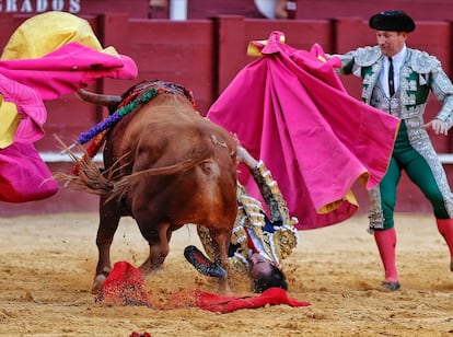 Fortes, a merced de su primer toro en la plaza de Málaga.