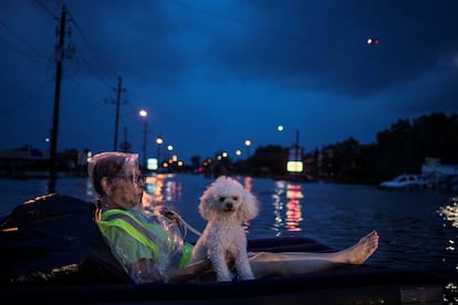 Senhora e seu cachorro esperam para ser resgatados sobre um colchonete neste domingo em Houston. Ao menos 8 morreram por causa da passagem do furacão Harvey.