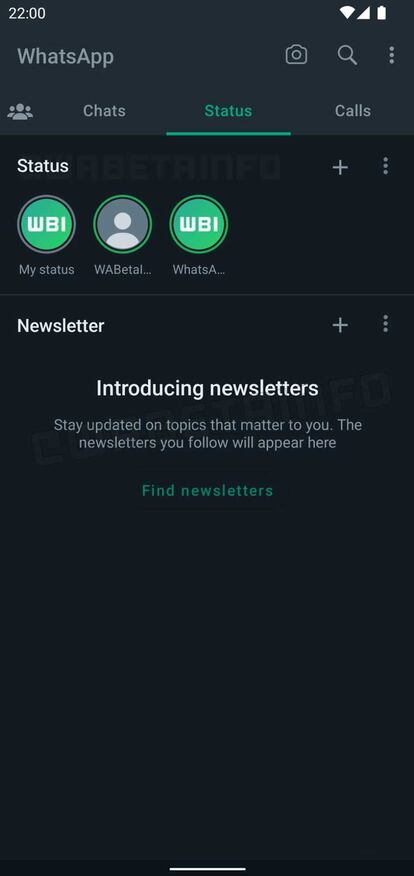 Newsletter WhastApp