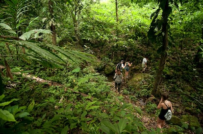 Un grupo de senderistas recorre el parque nacional Pico Bonito (Honduras).