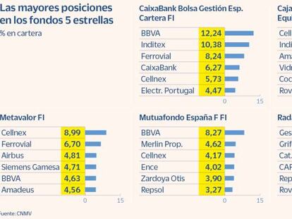 Los fondos cinco estrellas españoles concentran sus apuestas en Cellnex y BBVA