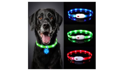 Otro de los collares luminosos para perros que puede encontrarse en Amazon.