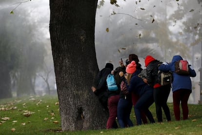 Algunos jóvenes se protegen detrás de un árbol de los cañones de agua que lanza la policía durante la manifestación que ha terminado en violentos disturbios sin que hasta ahora se conozcan los detenidos ni los daños.