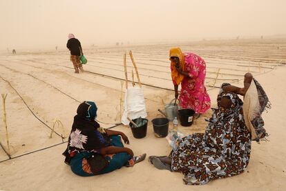 Varias mujeres en uno de los huertos urbanos financiado por la cooperación española, que ha visitado la reina Letizia en Nuakchot, en el último día de su viaje a Mauritania.
