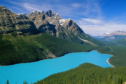 Un desvío de la Icefields Parkway (la carretera de los campos de hielo; icefieldsparkway.com), conduce hasta este mirador sobre el lago Peyto, en el parque nacional de Banff, en la provincia canadiense de Alberta, que debe su color turquesa a las diminutas partículas de roca que flotan sobre sus aguas, producto de la erosión glacial. Es, junto al lago Louise, el más fotografiado de las Montañas Rocosas canadienses.