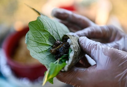 Bun Lai prepara un rollo de arroz con cigarra a la plancha. El chef promueve abrir la conversación sobre alternativas a la ganadería y agricultura industrial por el impacto que tienen sobre la salud y el medio ambiente. 