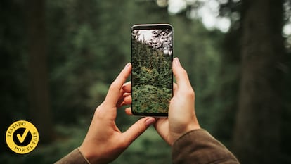 Una persona con un móvil haciendo una foto al bosque.