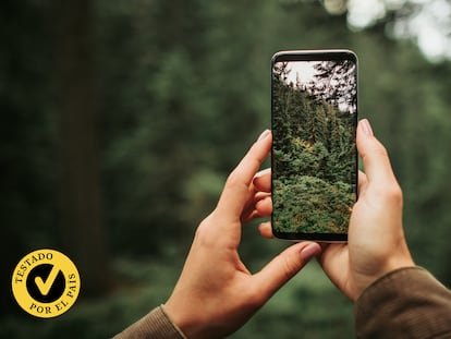 Una persona con un móvil haciendo una foto al bosque.