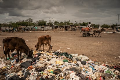 La Pista, La Guajira