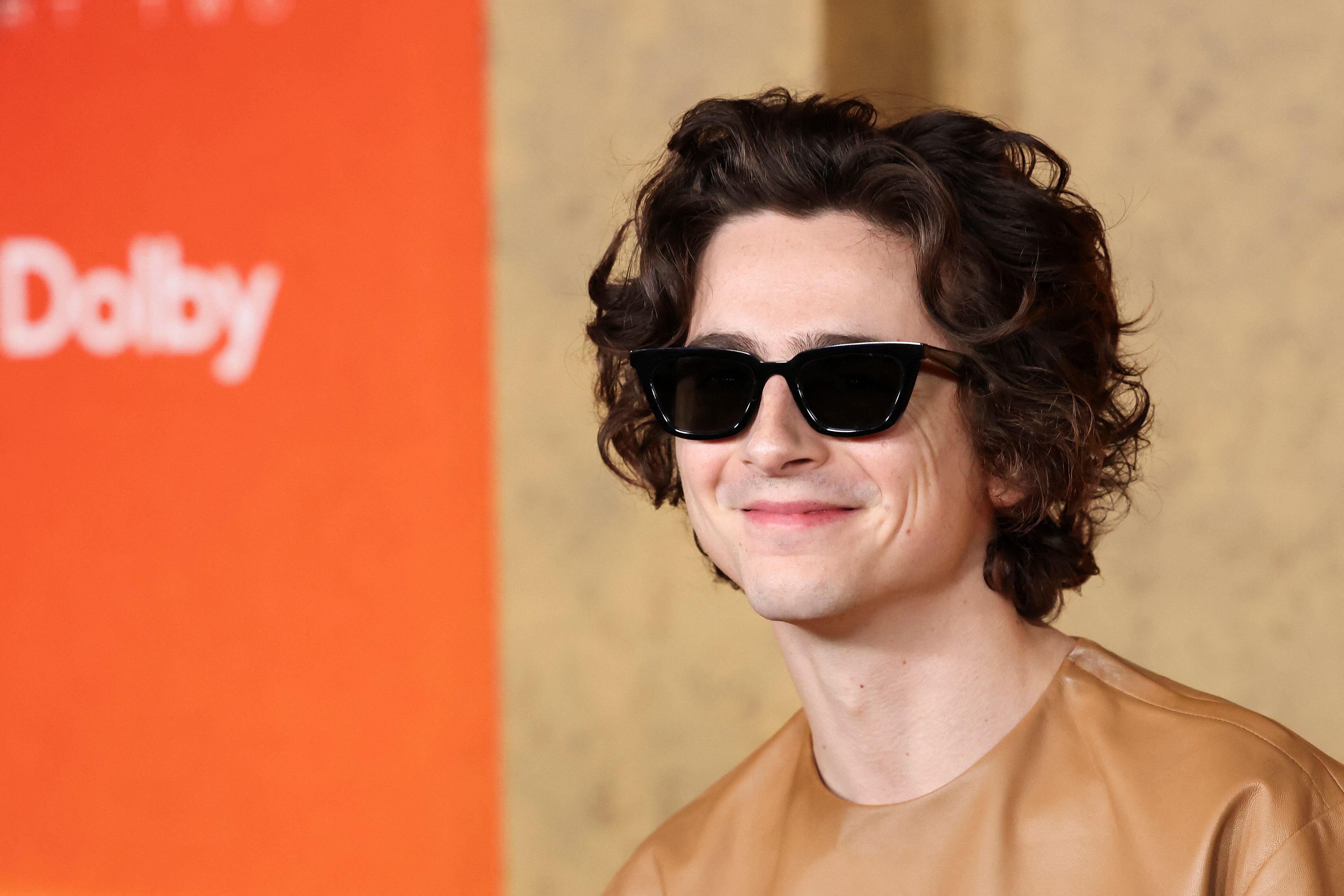 El actor Timothée Chalamet interpretará al joven Bob Dylan. 