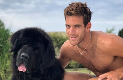 El tenista argentino Juan Martín del Potro y su perro, 'César'.