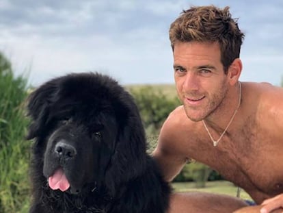 El tenista argentino Juan Martín del Potro y su perro, 'César'.