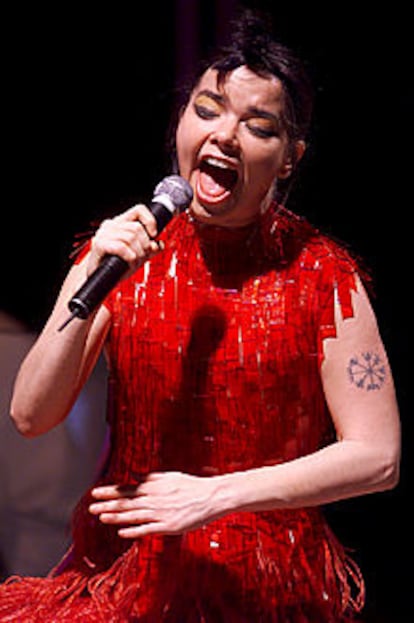 La cantante islandesa Björk.