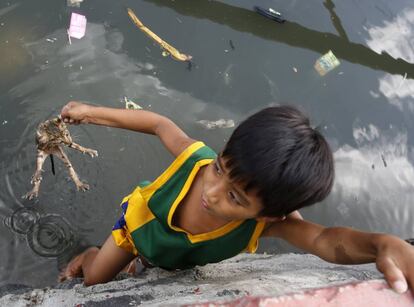 Un niño rescata a una cría de gato que cayó a un río después de una operación de demolición de casas en Las Piñas, al sur de Manila (Filipinas).