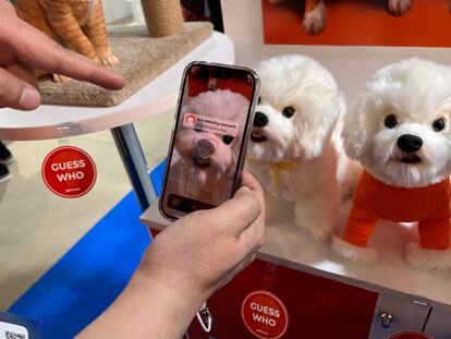 Una persona usa la aplicación de reconocimiento de mascotas.