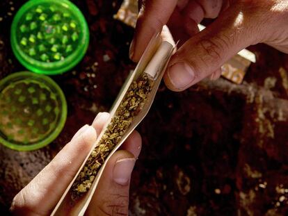 El 81% de los j&oacute;venes atendidos por Proyecto Hombre consumen cannabis