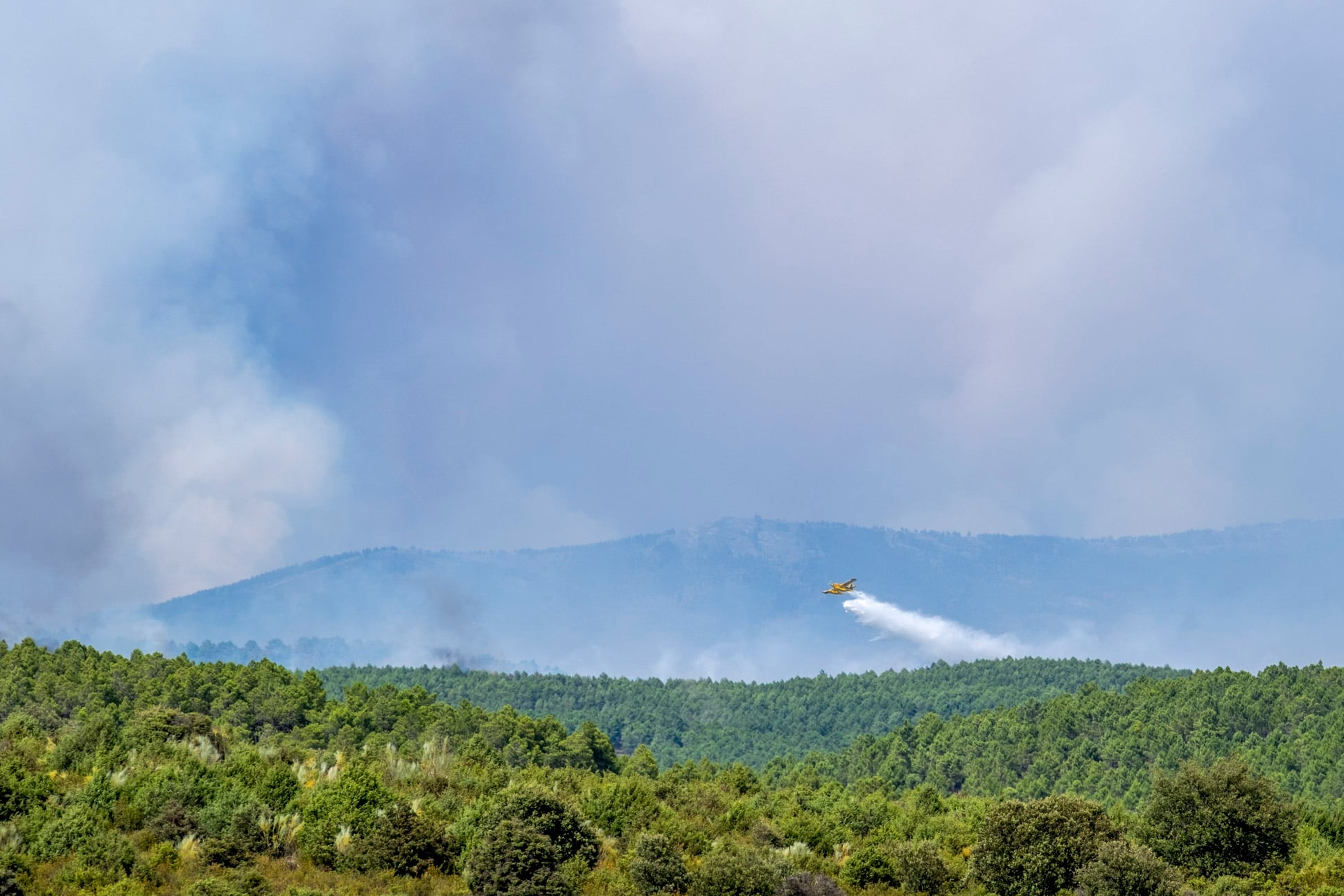 Latest news on the forest fires, live | The fire in the northern mountains of Guadalajara exceeds 13,000 hectares and forces the evacuation of 800 people in 21 municipalities Latest news on the forest fires, live | The fire in the northern mountains of Guadalajara exceeds 13,000 hectares and forces the evacuation of 800 people in 21 municipalities