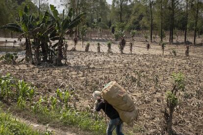 Con cientos de miles de personas ya afectadas por el huracán Eta en los tres países centroamericanos, donde ha habido tierras inundadas, cosechas perdidas, miles de viviendas destruidas y carreteras destrozadas, ha impactado el Iota, que podría desencadenar una nueva tragedia, según alerta Alianza por la Solidaridad-ActionAid.