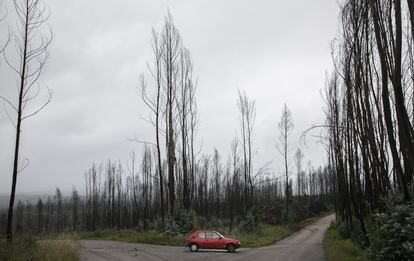 La aldea de Nodeirinho, la zona cero de los incendios de junio de 2017 en Portugal, contina calcinada y sin ningn tipo de actividad. Los vecinos y las vctimas no han recibido ninguna ayuda oficial para recuperar el entorno.