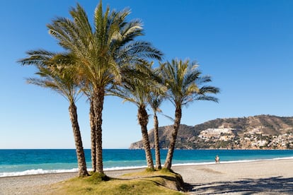 La Herradura, Almuñécar (Granada). ¿Quién pensaría que esta rada apacible fuera escenario de una de las mayores hecatombes de la historia naval española? Corría el 19 de octubre de 1562 en el reino de Granada, cuando la flota de Juan de Mendoza y Carrillo —rumbo a Berbería— buscó ponerse al socaire del levante en la Punta de la Mona. El viento roló inopinadamente a poniente y las galeras entrechocaron entre ellas y el acantilado, cobrándose 25 naves con 5.000 marineros. Un monumento los recuerda cerca del chiringuito La Sardina, conocido por sus migas. Luis Schrave regenta desde 1979 la escuela de deportes náuticos Windsurf La Herradura. “No son extraños estos cambios bruscos. En 2021 se hundió un barco en el mismo lugar y hace 15 años ayudé a librarse milagrosamente a otro velero, desgobernado y sin motor”. Lo que no hay que perderse es el museo histórico 1562, La fuerza del Mar, inaugurado el año pasado en el castillo de La Herradura. Para alojarse es buena opción el hotel Peña Parda, y para tomar una copa, La Cochera, que ha cambiado de manos sin perder su talante bohemio.