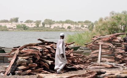 Madera para su venta en Bol (Chad), una zona que ha recibido numerosos desplazados por la violencia de Boko Haram. C. Laorden 