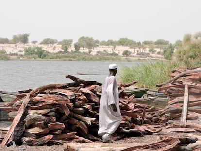 Madera para su venta en Bol (Chad), una zona que ha recibido numerosos desplazados por la violencia de Boko Haram. C. Laorden 