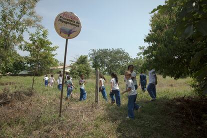 Niños caminan a su escuela, cerca del Parque Nápoles, en febrero de 2020.