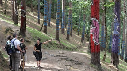Una imagen de archivo del Bosque de Oma, en Bizkaia.
